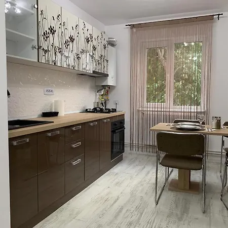 Central Alexa Apartament Bacau Exterior photo