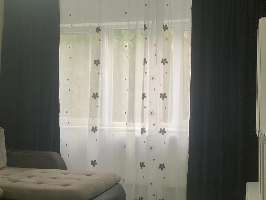 Apartment Alexa *